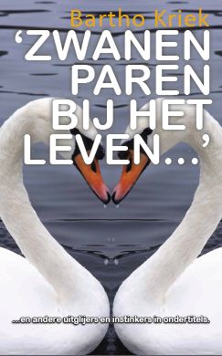 Zwanen-paren-bij-het-leven